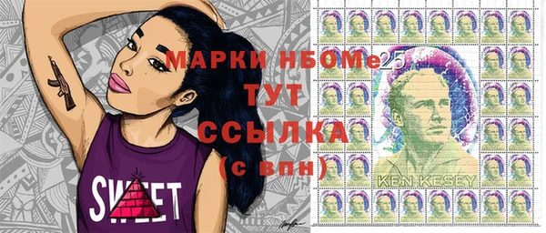 ECSTASY Елизово