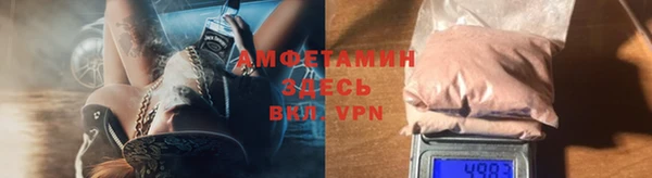 ALPHA PVP Ельня