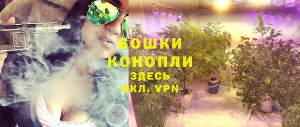 ECSTASY Елизово