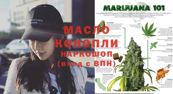 ALPHA PVP Ельня