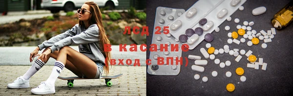 ECSTASY Елизово