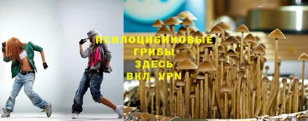ALPHA PVP Ельня